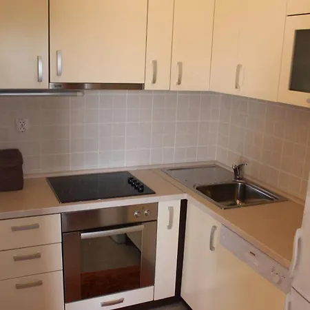 Ivankovic * 罗戈兹尼察