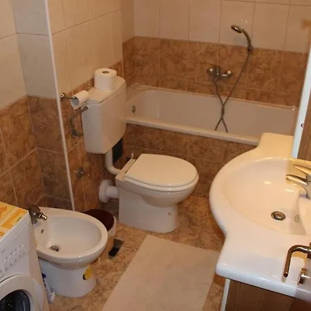 Apartment Ivankovic *