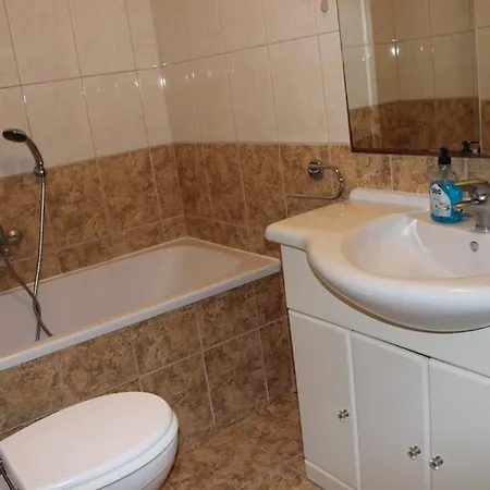 Ivankovic * 罗戈兹尼察