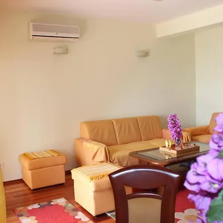 Apartment Ivankovic *