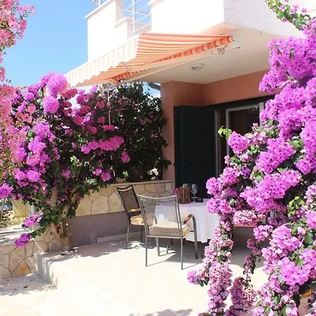 Ivankovic * 罗戈兹尼察